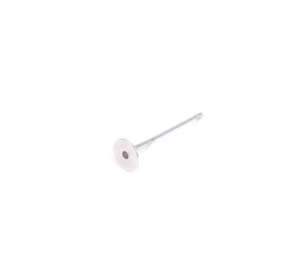 06D109611L - NEW AUDI A4 AVANT B7 ENGINE EXHAUST VALVE 06D109611L ORIGINAL