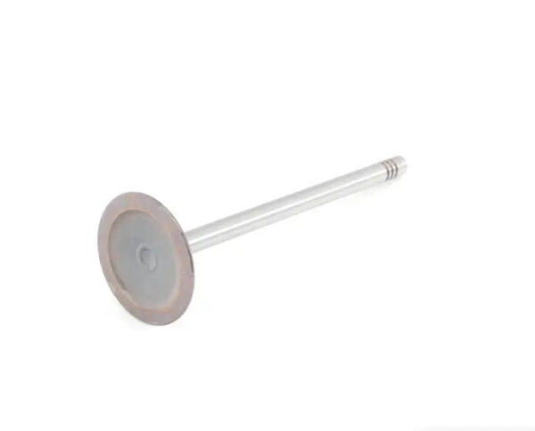 06E109601E - NEW AUDI A4 AVANT B8 ENGINE INTAKE VALVE 06E109601E ORIGINAL