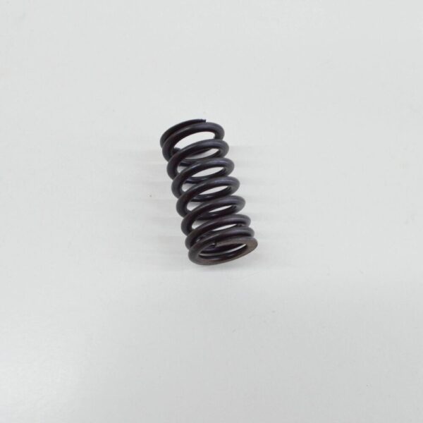 06E109623H - New Audi VW AUDI VALVE SPRING INLET 06E109623H