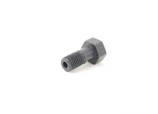 11127523715 - NEW BMW HOLLOW BOLT M7X16 FOR OIL SPRAY PIPE ON CYLINDER HEAD 11127523715 ORIGINAL