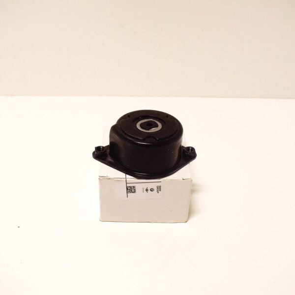 11282354130 - BMW X5 E53 3.0d Alternator Belt Tensioner 11282354130 OEM