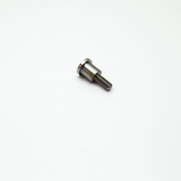 11317533488 - BMW E53 E60 E60N E61 E63 Timing Chain Guide Rail Bolt 7533488 11317533488