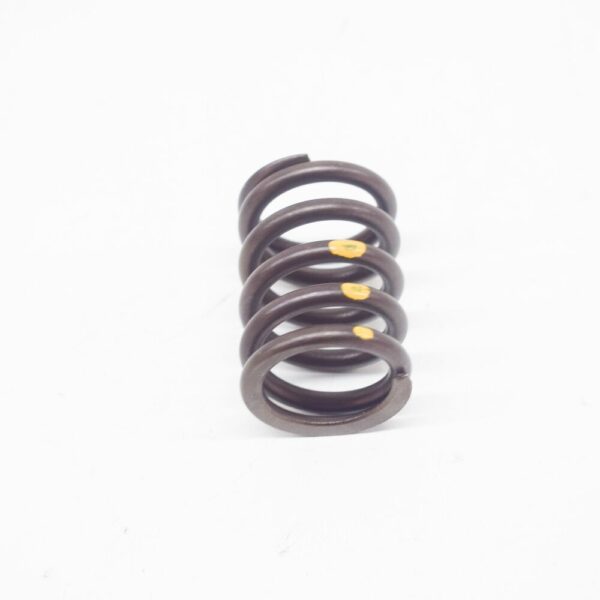11341276504 - BMW 6 E24 engine valve spring 11341276504 NEW ORIGINAL