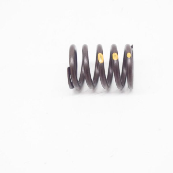 11341276504 - BMW 6 E24 engine valve spring 11341276504 NEW ORIGINAL