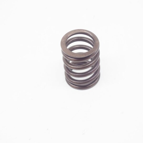 11341276504 - BMW 6 E24 engine valve spring 11341276504 NEW ORIGINAL