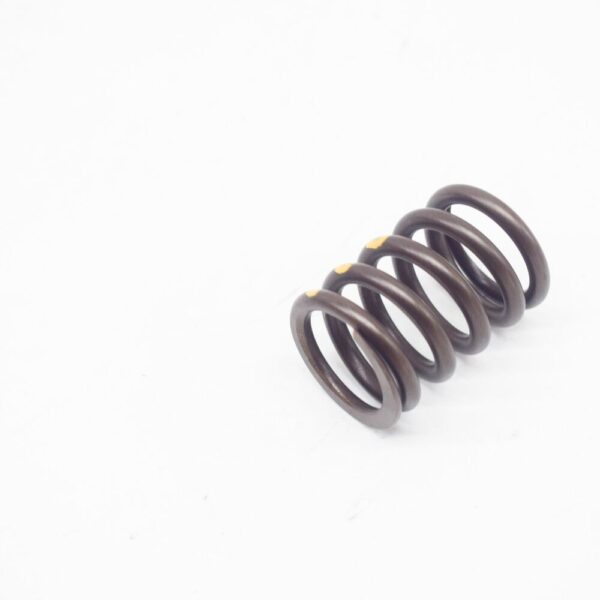 11341276504 - BMW 6 E24 engine valve spring 11341276504 NEW ORIGINAL