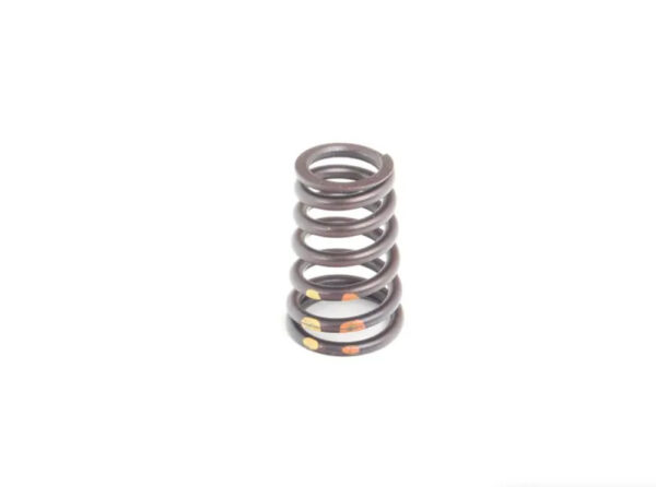11341403709 - BMW Z8 Roadster E52 Engine Valve Spring 11341403709 1403709 NEW GENUINE