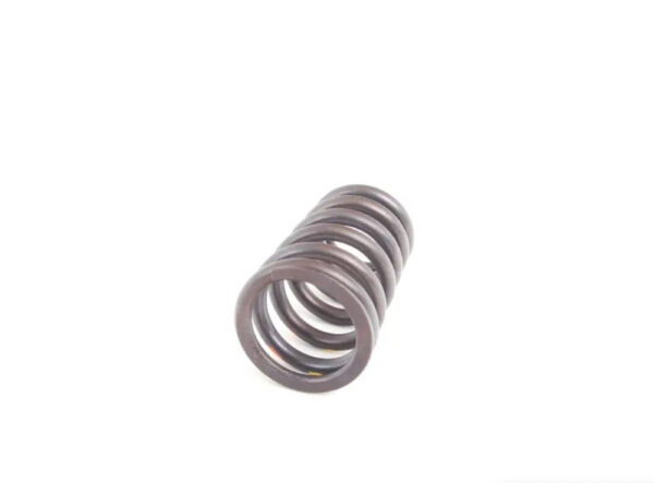 11341403709 - BMW Z8 Roadster E52 Engine Valve Spring 11341403709 1403709 NEW GENUINE