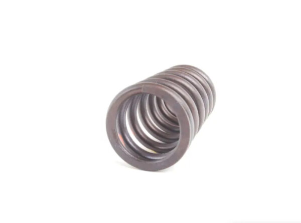 11341403709 - BMW Z8 Roadster E52 Engine Valve Spring 11341403709 1403709 NEW GENUINE