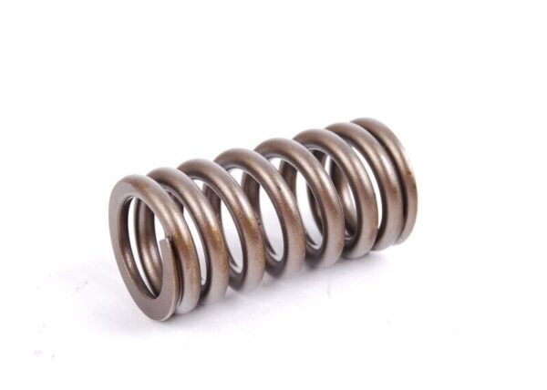 11341485590 - MINI R50 R52 R53 Original Valve Spring 11341485590