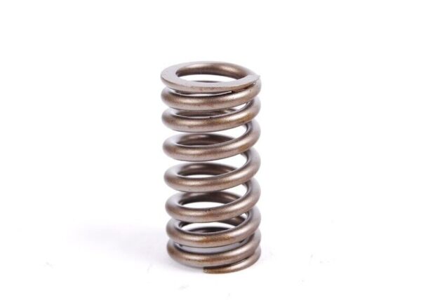 11341485590 - MINI R50 R52 R53 Original Valve Spring 11341485590