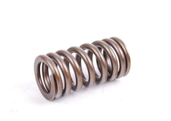 11341485590 - MINI R50 R52 R53 Original Valve Spring 11341485590