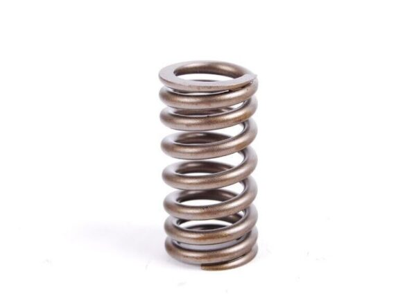 11341485590 - MINI R50 R52 R53 Original Valve Spring 11341485590