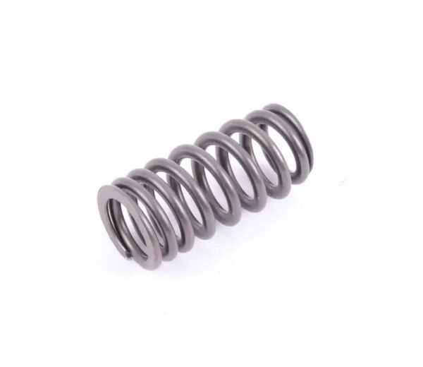 11347563460 - NEW BMW 5 GRAN TURISMO F07 ENGINE VALVE SPRING 11347563460 7563460 ORIGINAL