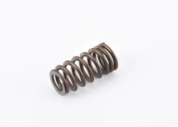 11347563462 - NEW BMW 2 COUPE F87 RACING VALVE SPRING 11347563462 7563462 ORIGINAL