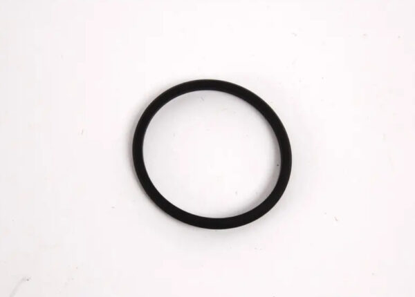 11367830828 - NEW BMW Z8 ROADSTER E52 VANOS MAGNET O-RING 11367830828 7830828 GENUINE
