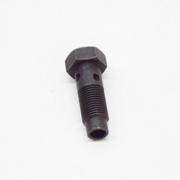 11367832139 - NEW BMW M5 E39 CYLINDER HEAD MOUNTING HOLLOW BOLT 11367832139 OEM