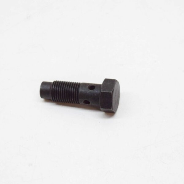 11367832139 - NEW BMW M5 E39 CYLINDER HEAD MOUNTING HOLLOW BOLT 11367832139 OEM