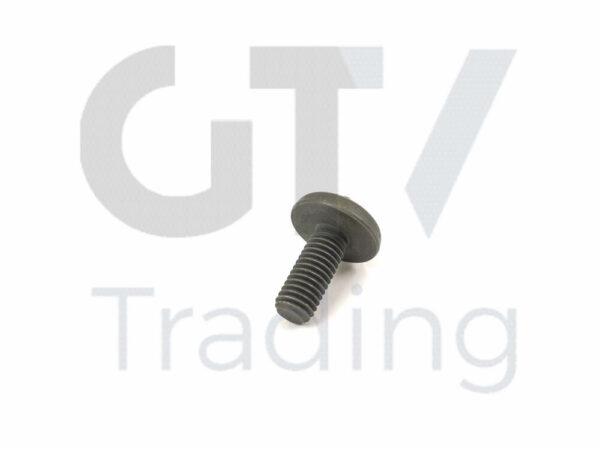 11417520144 - NEW BMW 1 2 3 4 5 6 7 X1 X3 X4 X 5 X6 Z4 2005 TORX SCREW 11417520144 ORIGINAL