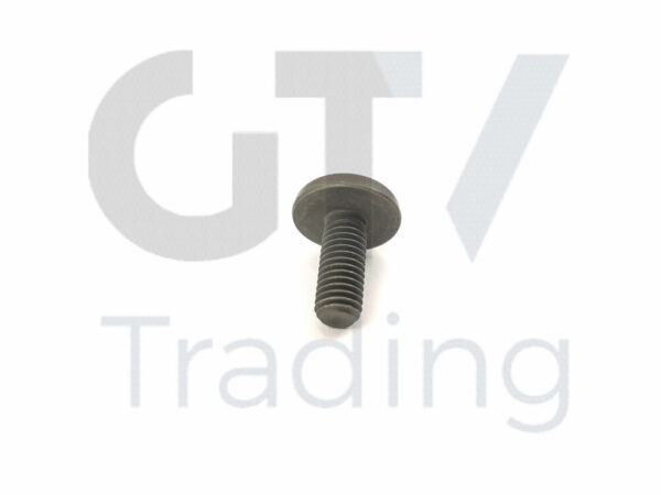 11417520144 - NEW BMW 1 2 3 4 5 6 7 X1 X3 X4 X 5 X6 Z4 2005 TORX SCREW 11417520144 ORIGINAL