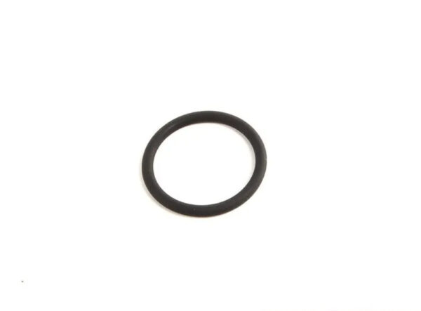 11421288890 - BMW X5 E53 Engine Oil Pump Seal 11421288890 1288890 NEW GENUINE