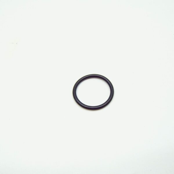 11518613804 - NEW MINI COOPER R56 WATER PUMP THERMOSTAT O-RING SEAL 11518613804 ORIGINAL