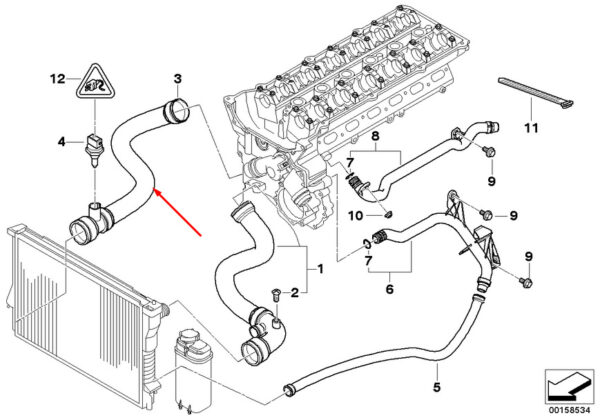 11531436408 - BMW 3 E46 radiator hose bottom 11531436408 1436408 2.5 petrol NEW ORIGINAL