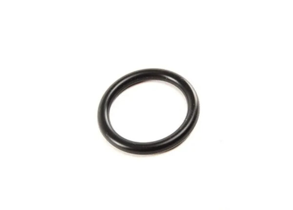 11531710055 - NEW BMW 7 E65 ENGINE WATER PUMP O-RING 1710055 11531710055 ORIGINAL