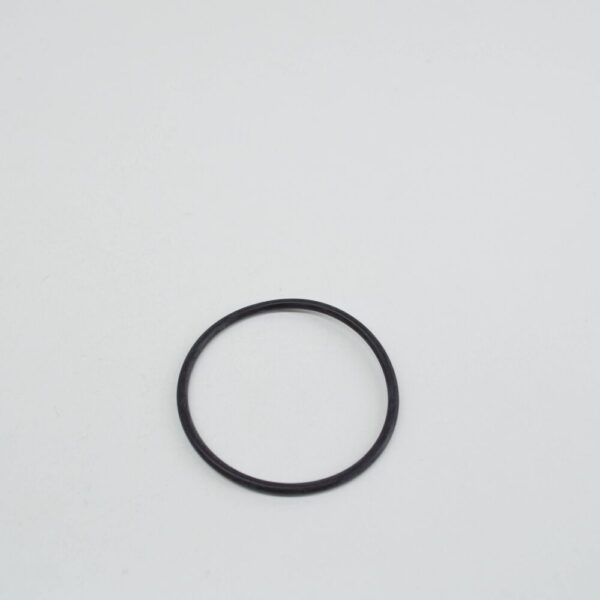 61357684057 - BMW 5 Touring F11 Rear Guide Suppoert O-Ring 7684057 61357684057 NEW GENUINE