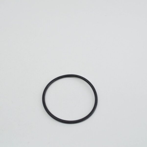 61357684057 - BMW 5 Touring F11 Rear Guide Suppoert O-Ring 7684057 61357684057 NEW GENUINE