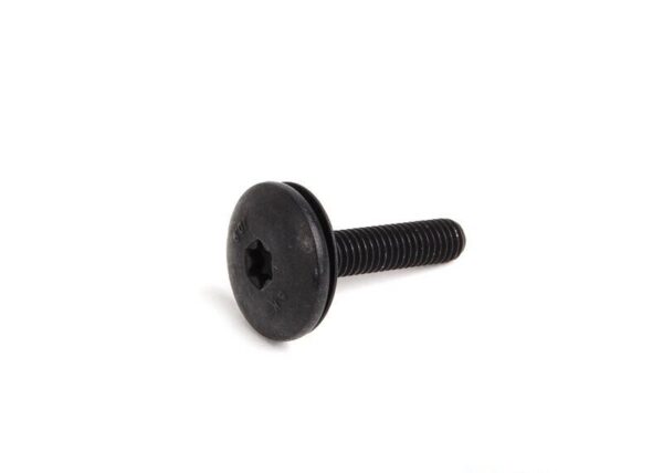 63127068171 - BMW E60 Original 63127068171 Cylinder Head Screw