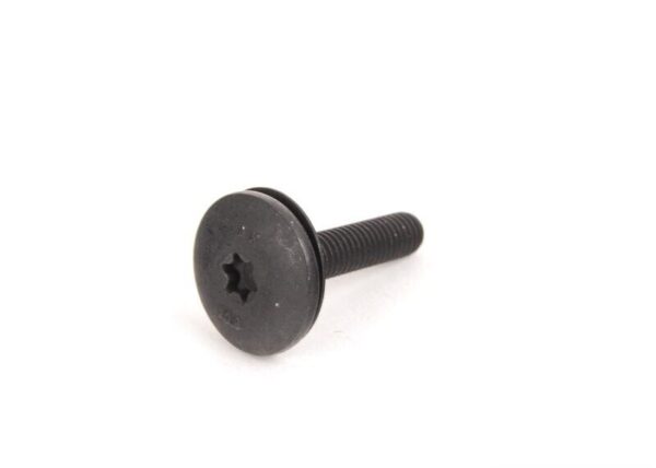 63127068171 - BMW E60 Original 63127068171 Cylinder Head Screw