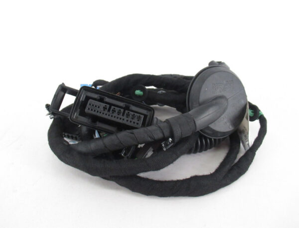 3CN971120T - NEW VOLKSWAGEN ATLAS CA1 FRONT LEFT DOOR CABLE HARNESS 3CN971120T